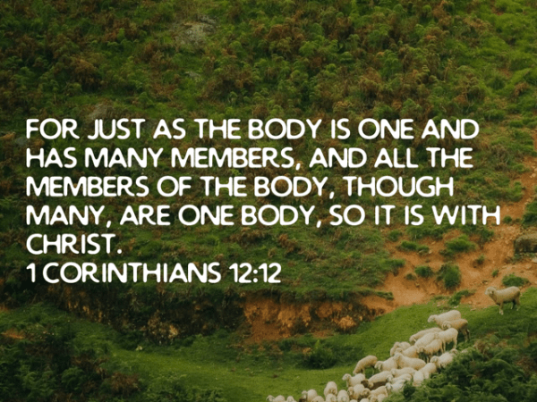 Levitate Through the&nbsp;Lobby