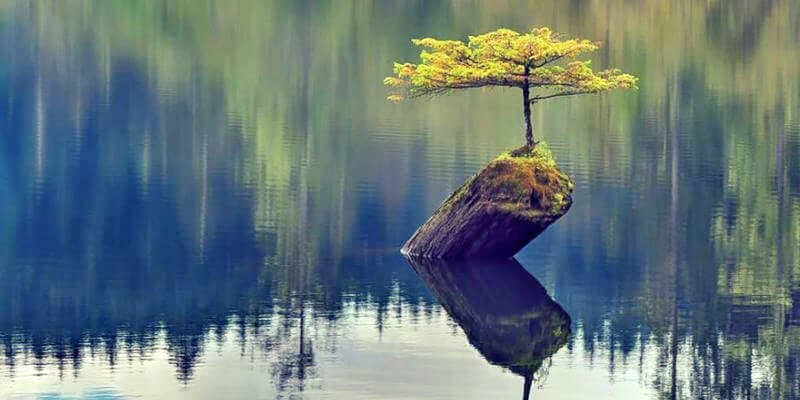 Sometimes Quiet is Violent&nbsp;|-/